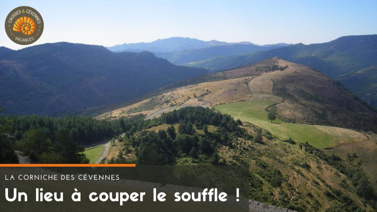 อัลแบร์กีแยร์ Villa Sainte-Croix-Vallee-Francaise ภายนอก รูปภาพ
